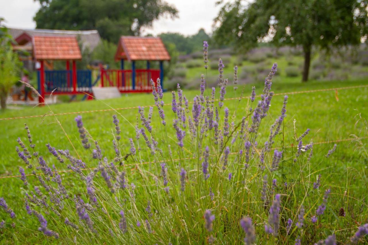 Lavanda Farm Apartmani Rakovica Exteriér fotografie