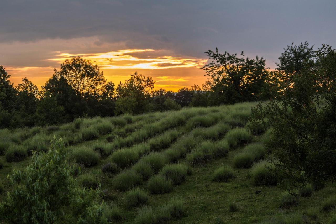 Lavanda Farm Apartmani Rakovica Exteriér fotografie