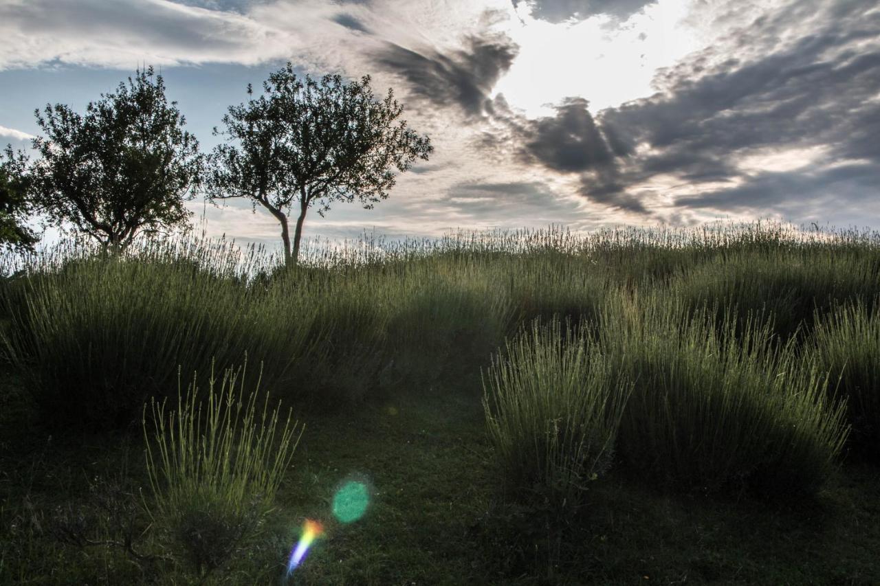 Lavanda Farm Apartmani Rakovica Exteriér fotografie