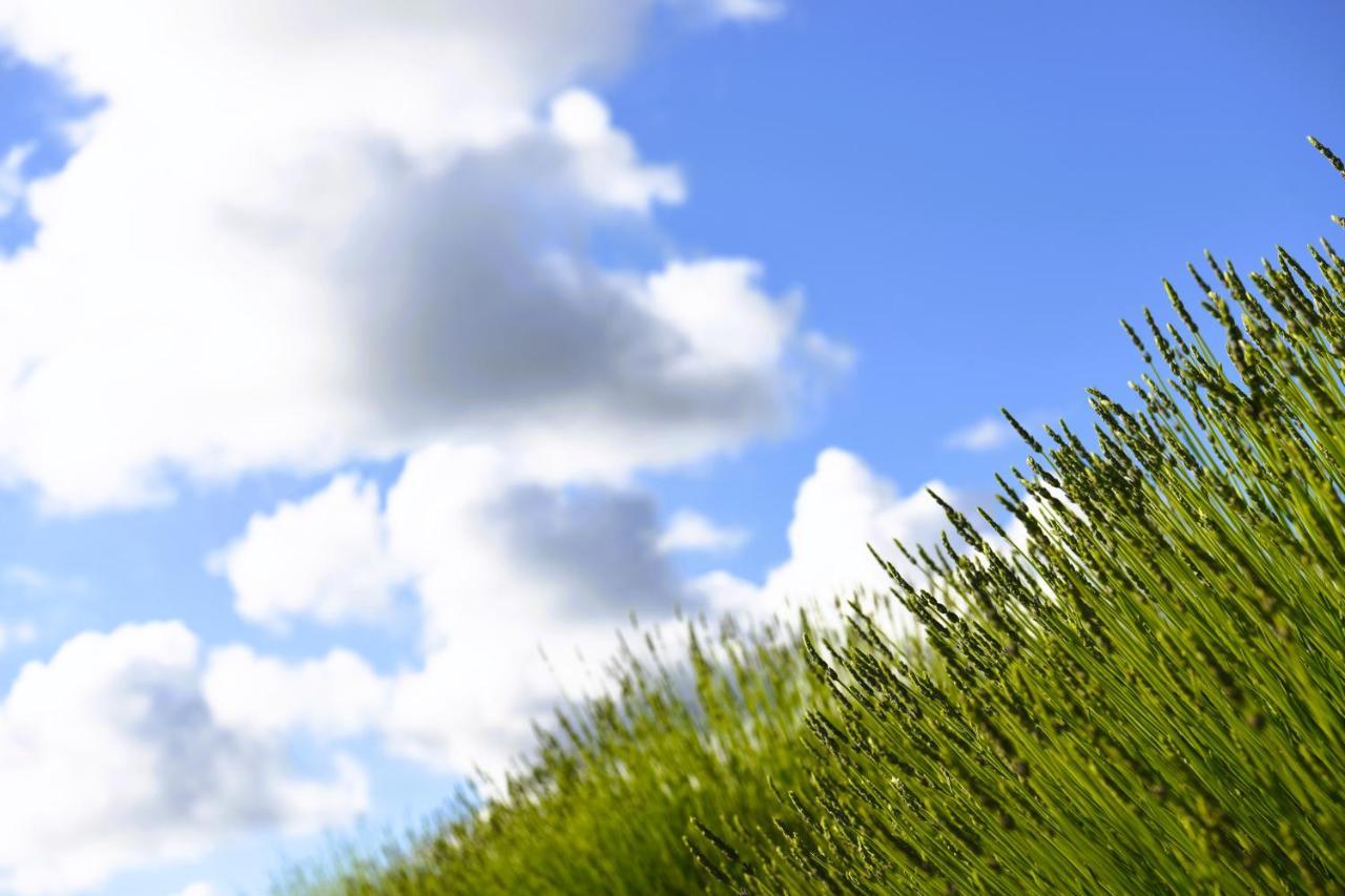 Lavanda Farm Apartmani Rakovica Exteriér fotografie