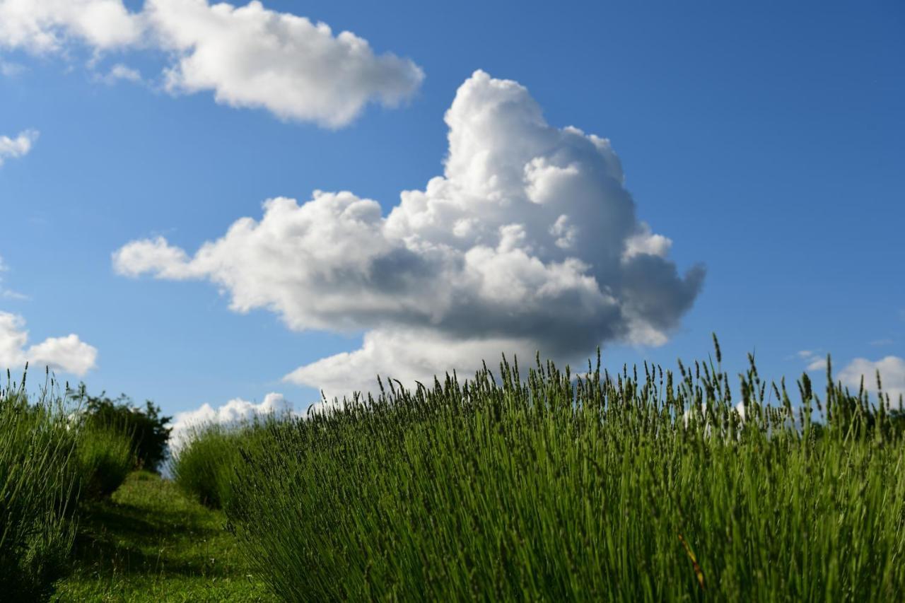 Lavanda Farm Apartmani Rakovica Exteriér fotografie