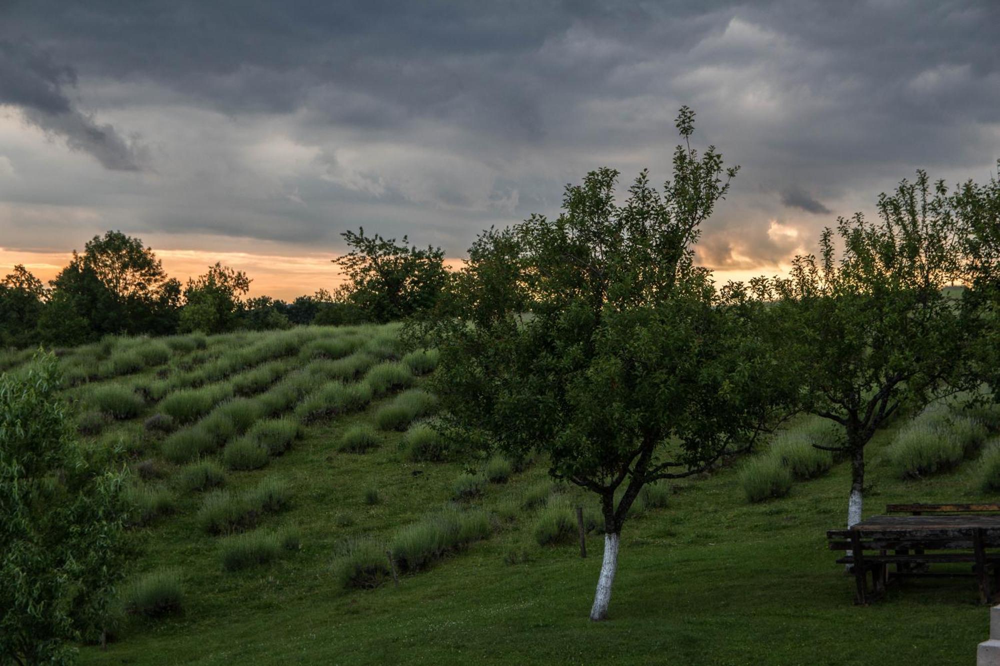 Lavanda Farm Apartmani Rakovica Exteriér fotografie