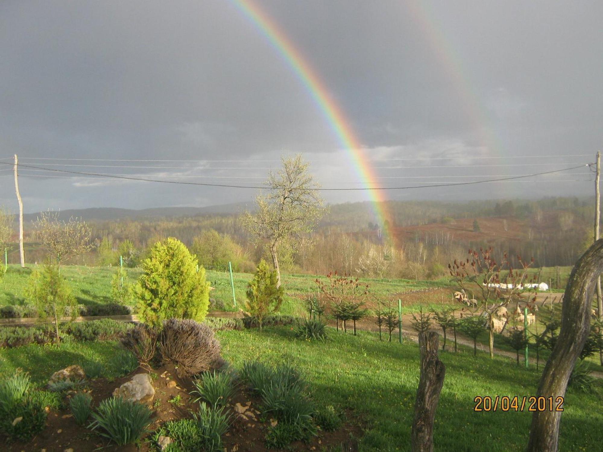 Lavanda Farm Apartmani Rakovica Exteriér fotografie