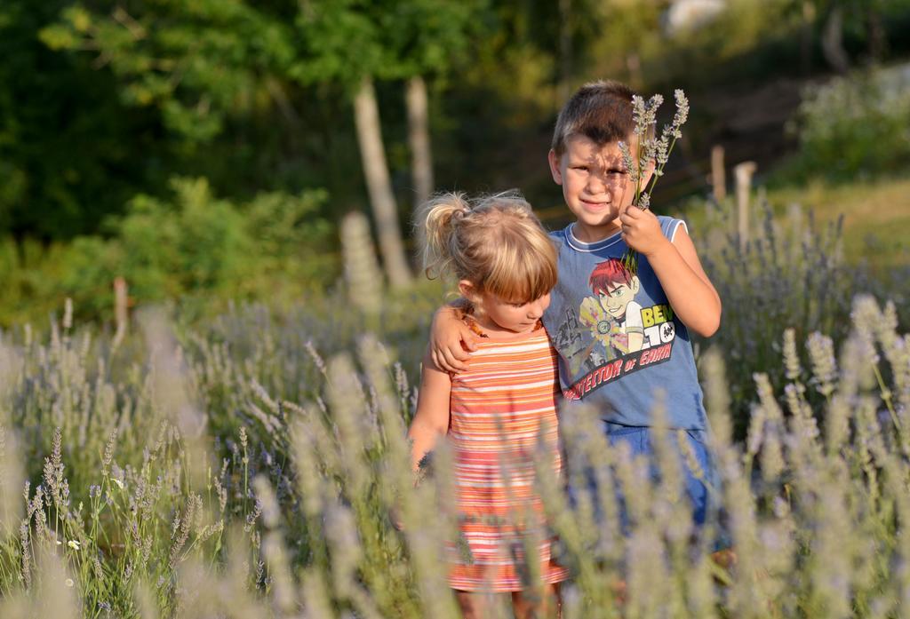 Lavanda Farm Apartmani Rakovica Exteriér fotografie