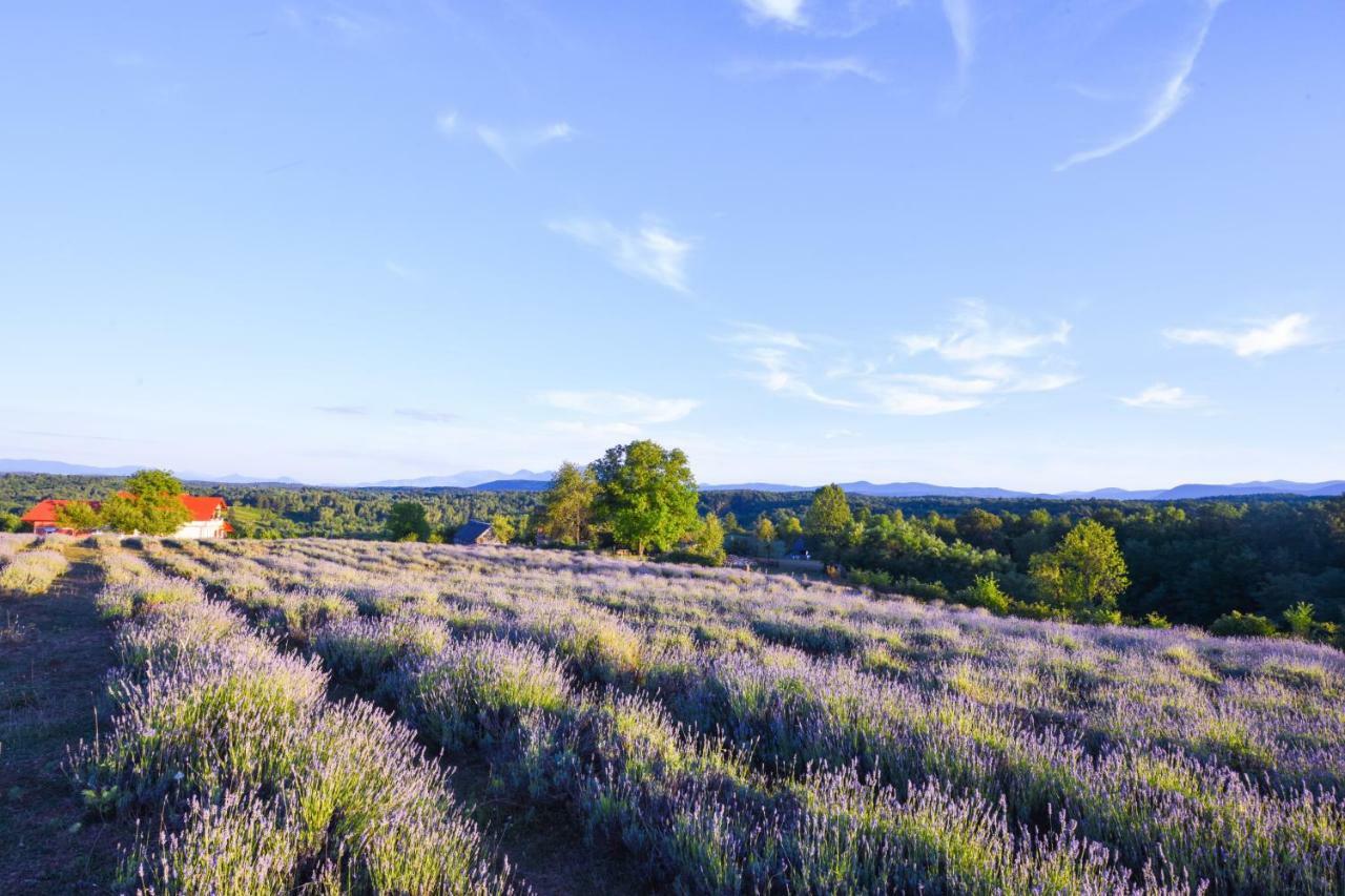 Lavanda Farm Apartmani Rakovica Exteriér fotografie