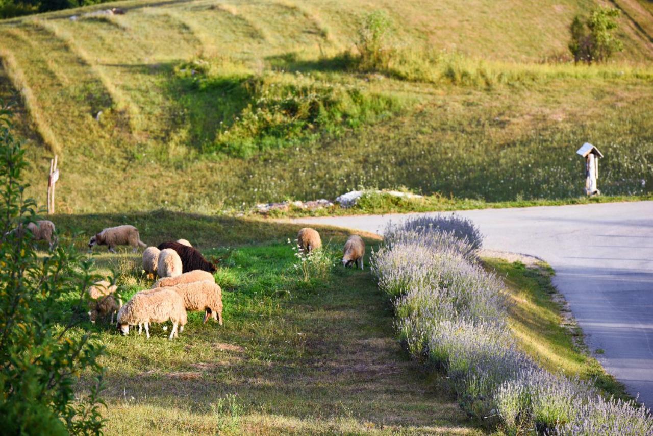 Lavanda Farm Apartmani Rakovica Exteriér fotografie