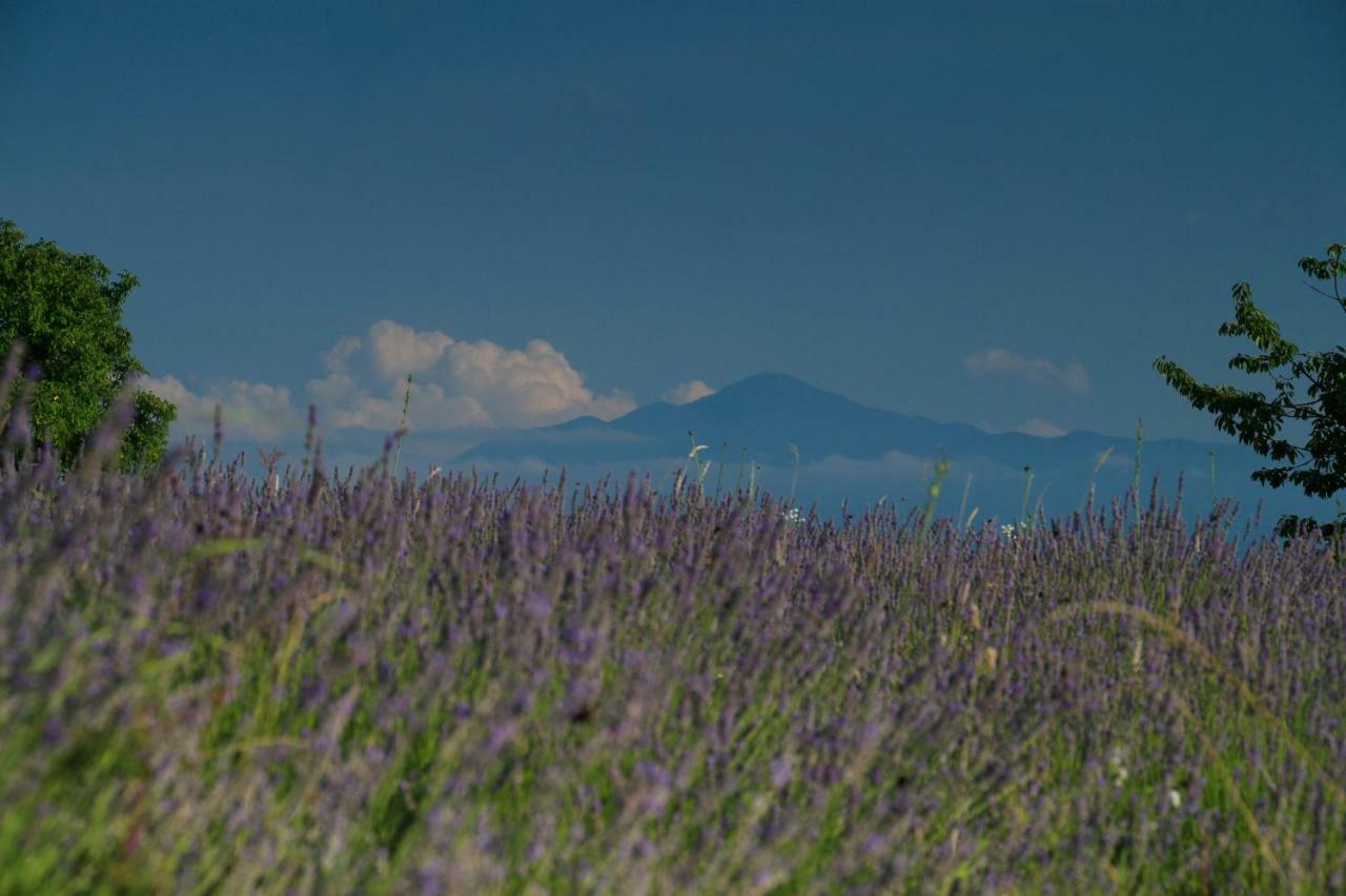 Lavanda Farm Apartmani Rakovica Exteriér fotografie