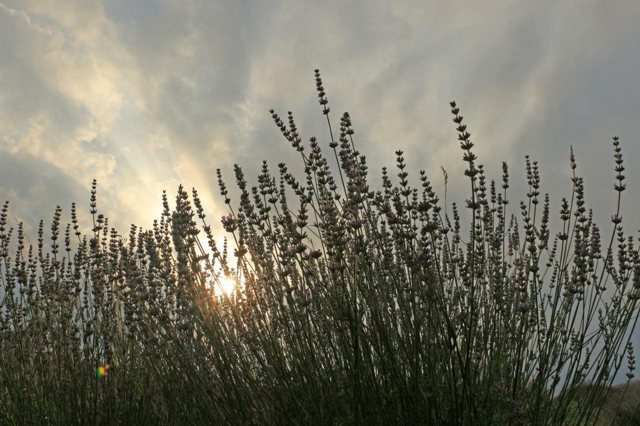 Lavanda Farm Apartmani Rakovica Exteriér fotografie