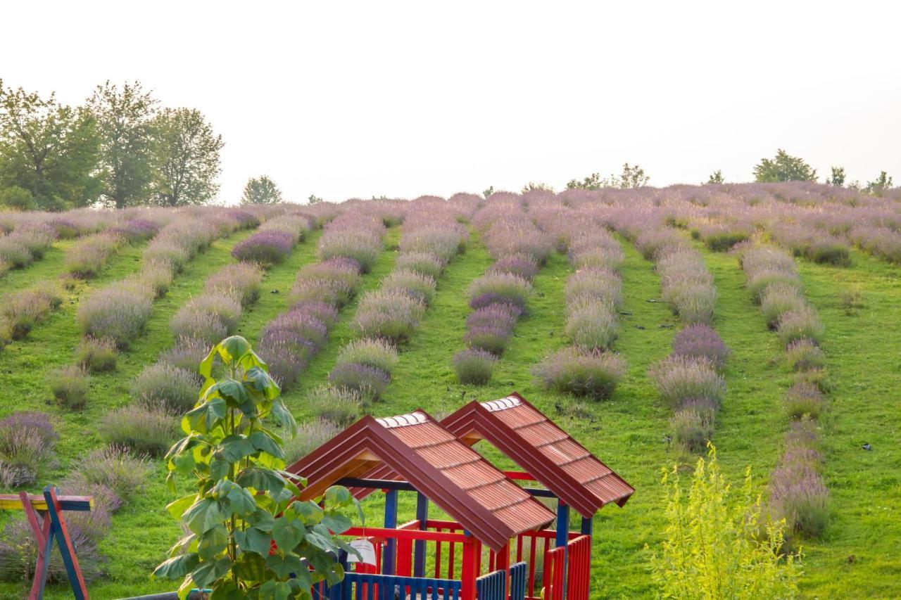 Lavanda Farm Apartmani Rakovica Exteriér fotografie