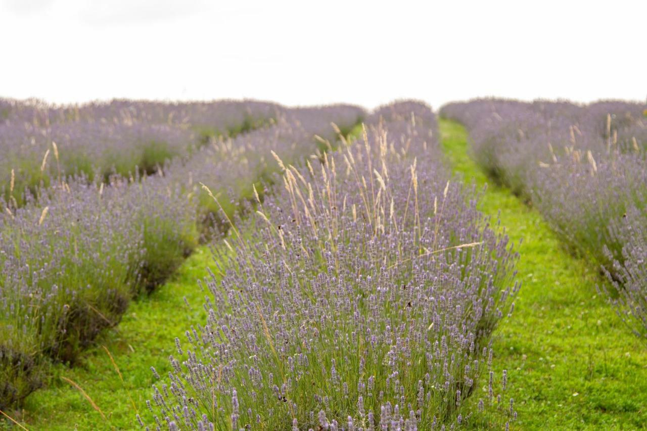 Lavanda Farm Apartmani Rakovica Exteriér fotografie