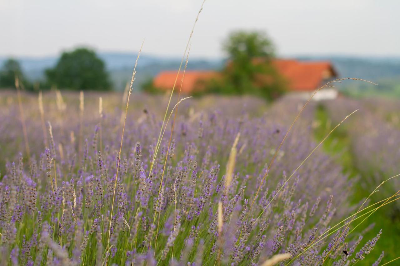 Lavanda Farm Apartmani Rakovica Exteriér fotografie